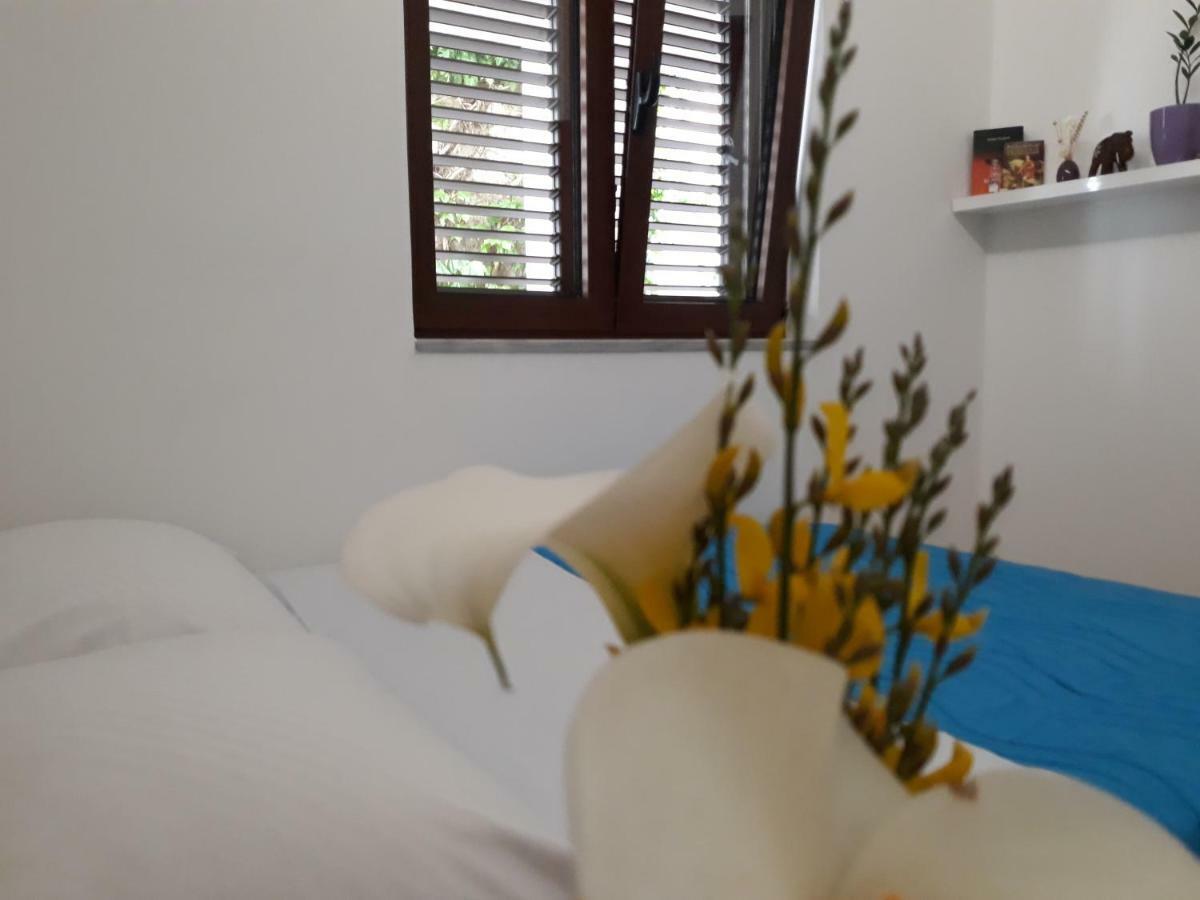 Apartments Ardura Petrovac Zewnętrze zdjęcie