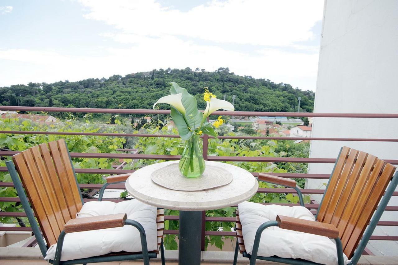 Apartments Ardura Petrovac Zewnętrze zdjęcie